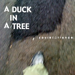 A Duck in a Tree #1, “beta 1”