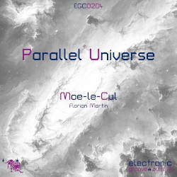 Parallel Universe