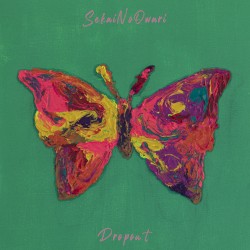 Dropout