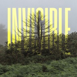 The Invisible