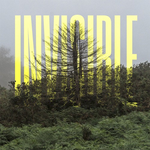 The Invisible