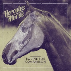 Equine Size Comparison