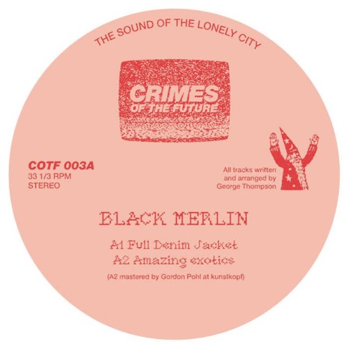 Black Merlin: Amazing Exotics