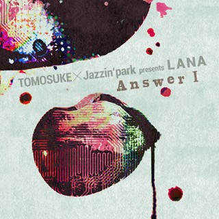 LANA -Answer I-