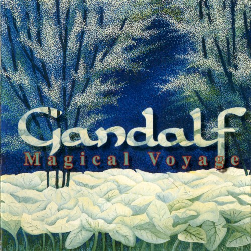 Magical Voyage
