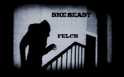 Felch