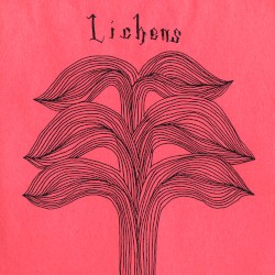 Lichens