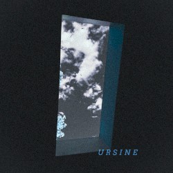 Ursine