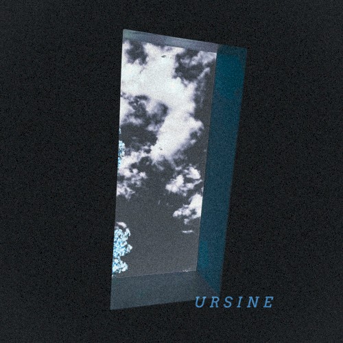 Ursine