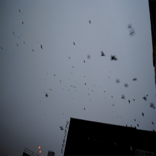 Singlez, Pt. 2