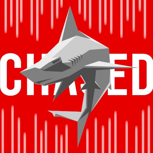 Chased By The Hammerhead Robot (BETTOGH Remix)