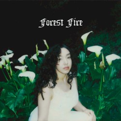 Forest Fire