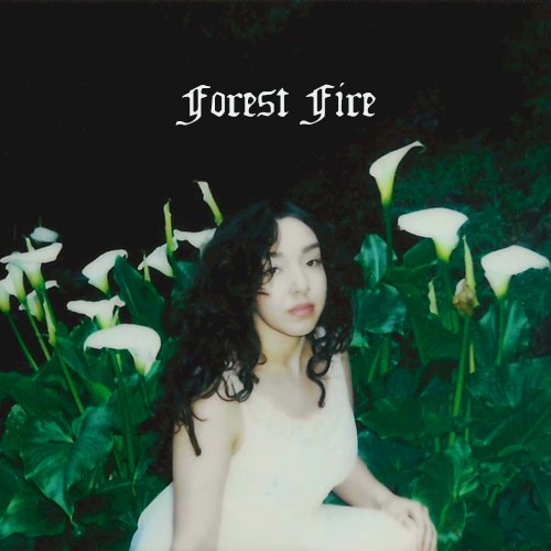Forest Fire