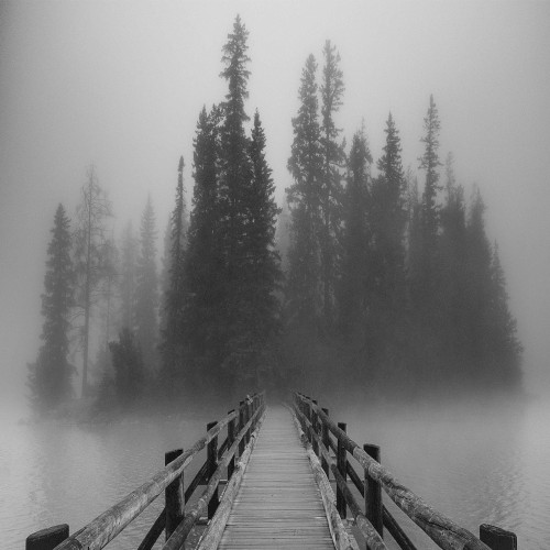 Mist of Dissonance