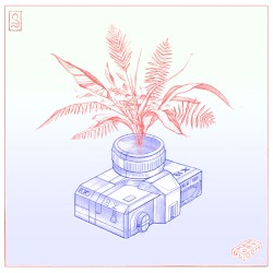 Memory Bloom