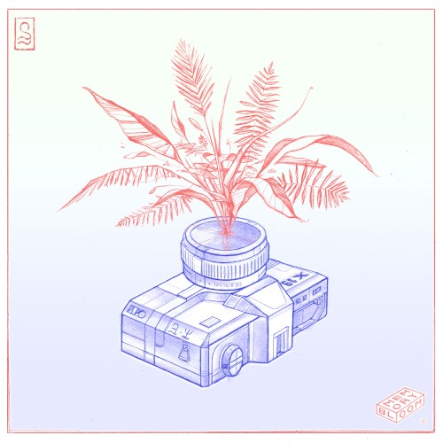 Memory Bloom