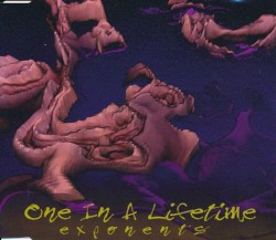 One In A Lifetime