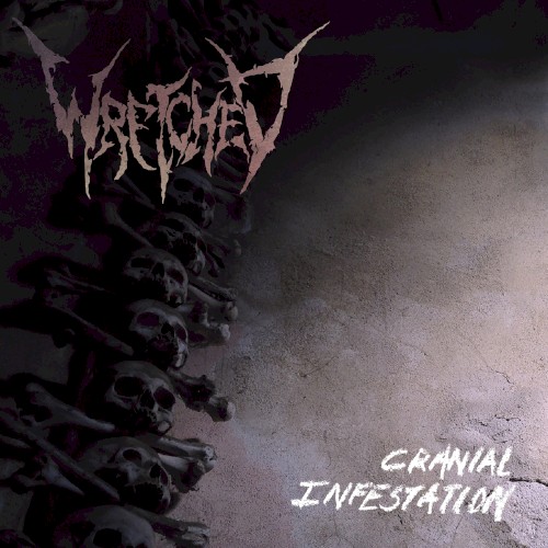 Cranial Infestation