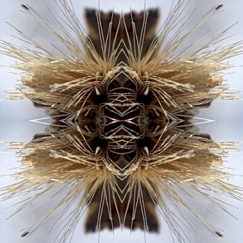 Sutra