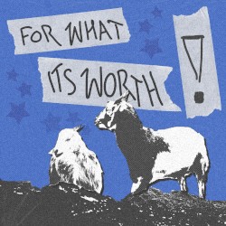 FOR WHAT ITS WORTH