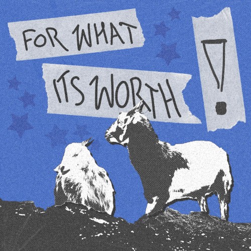 FOR WHAT ITS WORTH