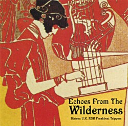 Echoes From the Wilderness: Sixteen U.K. R&B Freakbeat Trippers