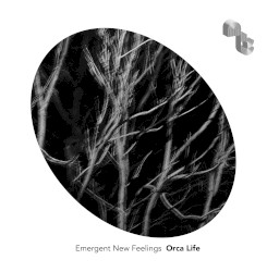 Emergent New Feelings