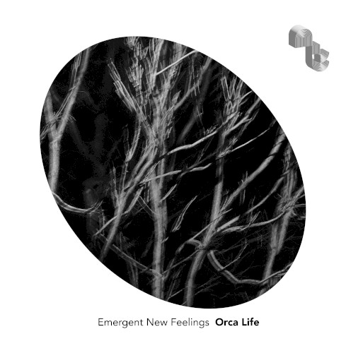Emergent New Feelings