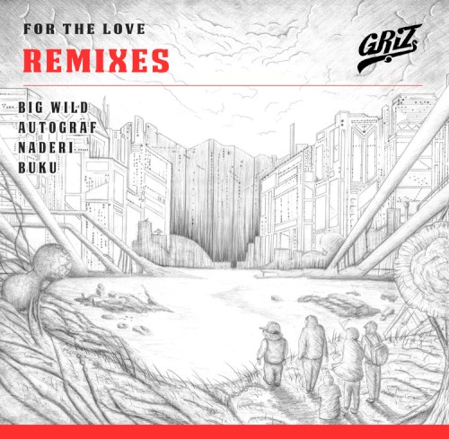 For the Love (remixes)