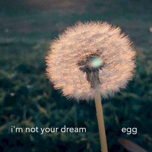 I'm Not Your Dream