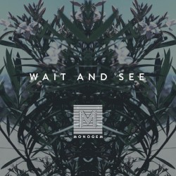 Wait and See