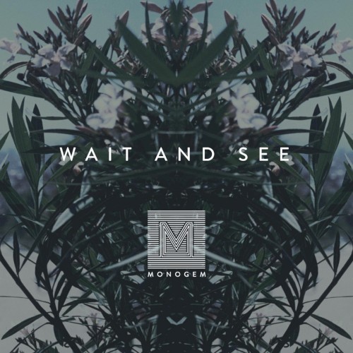 Wait and See