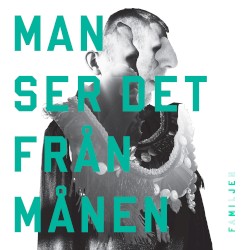 Man ser det från månen