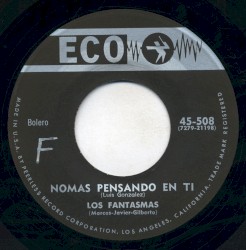 Nomás pensando en ti / Para que persistir