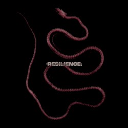 RESILIENCE.