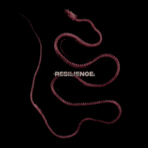 RESILIENCE.