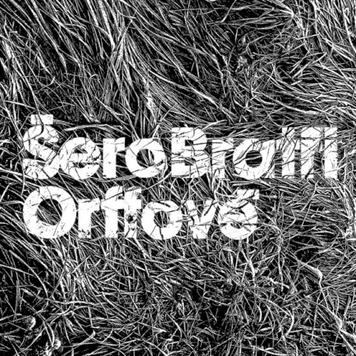 Šero