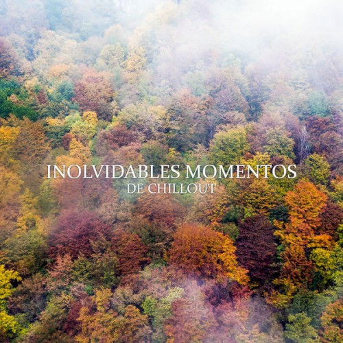 Inolvidables Momentos de Chillout
