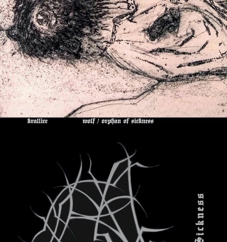 wolf/orphan
