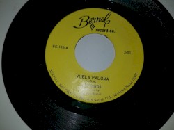 Vuela paloma / Rama seca