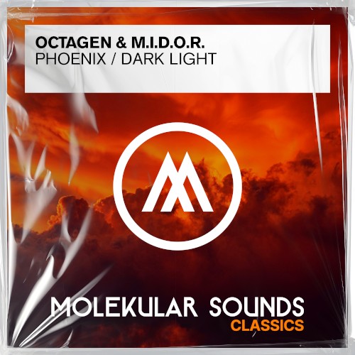 Phoenix / Darklight