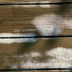 Discography 2006