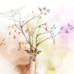 The Fall
