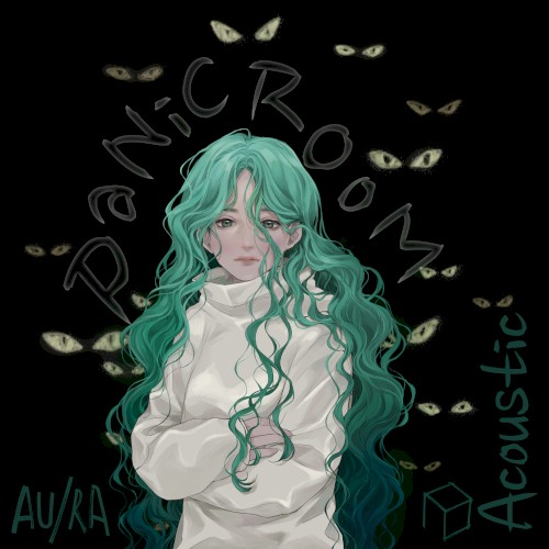 Panic Room (acoustic)