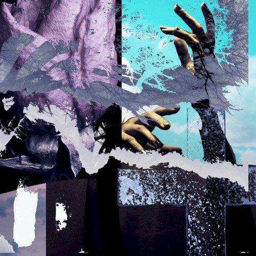 to the sky