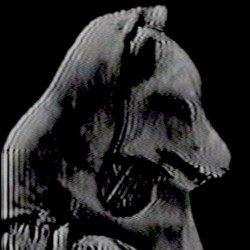 XVI