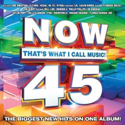 Now That’s What I Call Music! 45