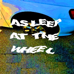 Asleep at the Wheel/Twist Your Instincts