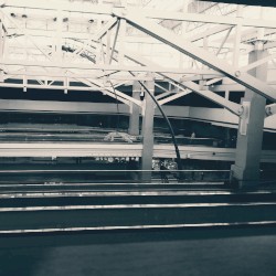 The Layover