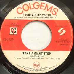 Take A Giant Step
